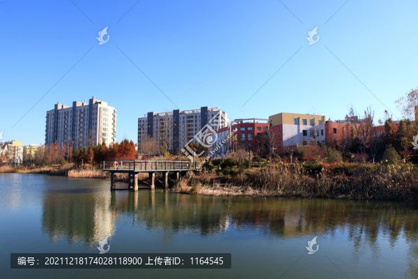 山海天濕地公園冬日風(fēng)光
