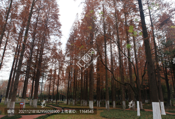 海曲公園風(fēng)光