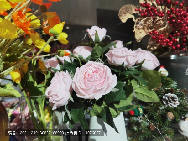 玫瑰月季薔薇花開(kāi)富貴