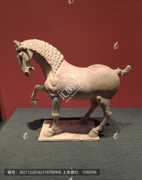白陶誕馬