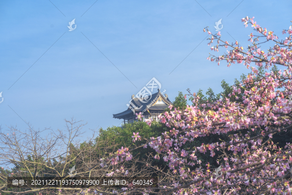 廣州文化館
