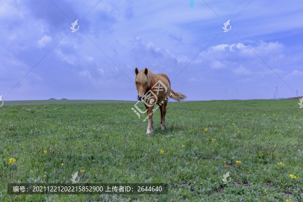 希拉穆仁草原