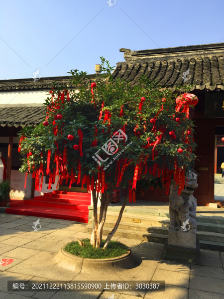 許愿樹