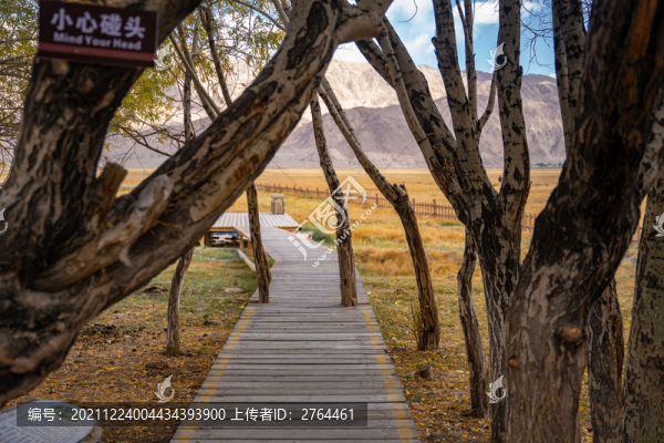 帕米爾高原塔縣金草灘