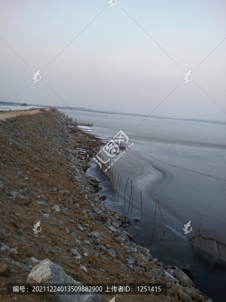 海參養(yǎng)殖圍圈圍壩