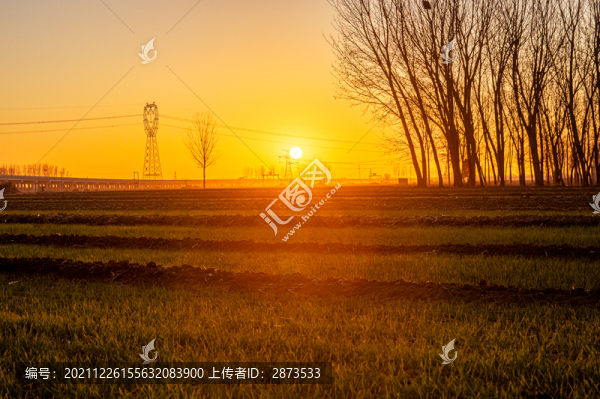 夕陽(yáng)麥田