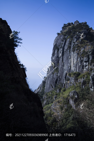 山