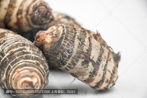 鮮美的荔浦芋頭