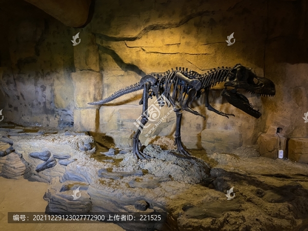 黑龍江嘉蔭恐龍國(guó)家地質(zhì)公園-匯圖網(wǎng) www.fosd68.com 黑龍江嘉蔭恐龍國(guó)家地質(zhì)公園