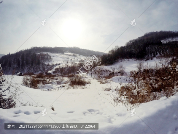 東北冬季雪村風(fēng)光