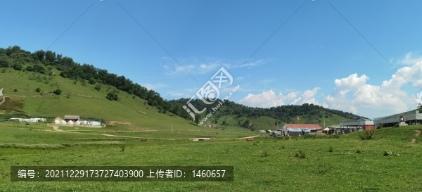 草原風(fēng)景藍(lán)天白云