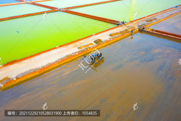 渤海灣鹽場