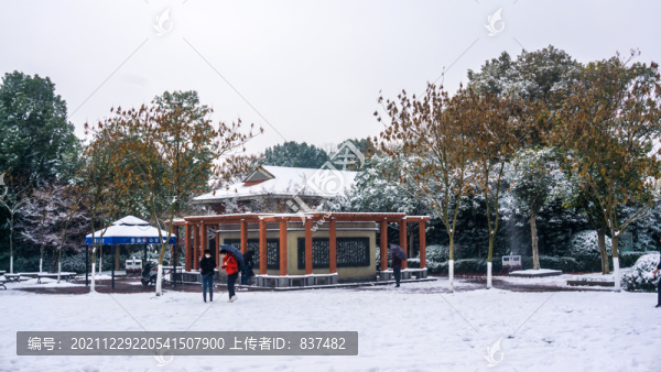 南方雪景