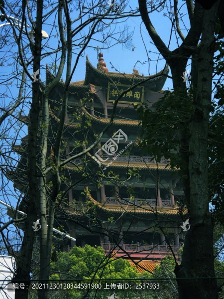 寺廟前樹林風景圖片