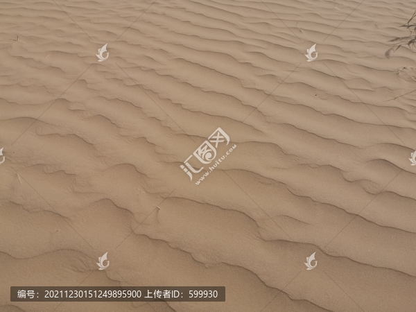 沙漠風(fēng)光