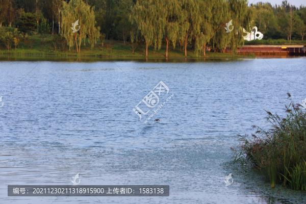 北京東郊濕地公園風光