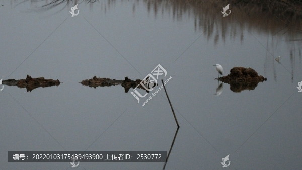 黃陂湖濕地