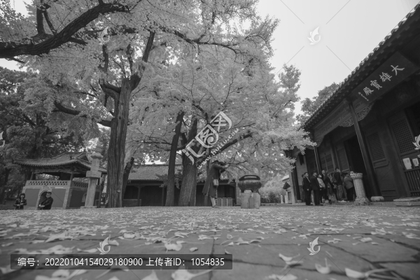 濟(jì)南靈巖寺大雄寶殿