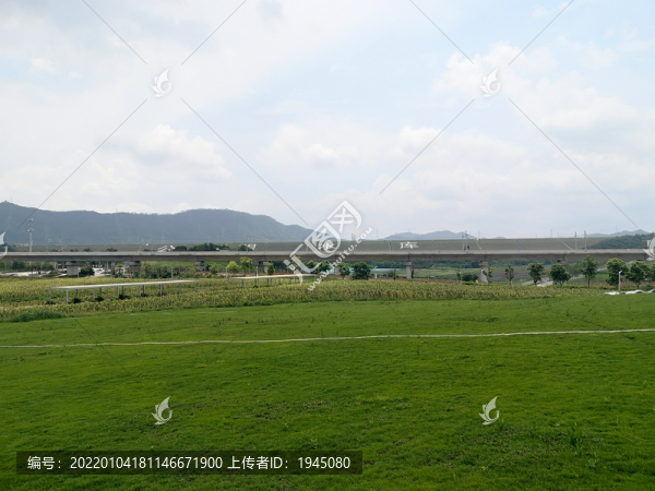 光明田園小鎮(zhèn)風(fēng)光