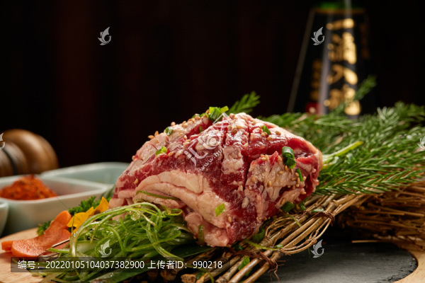次時(shí)代橫膈膜