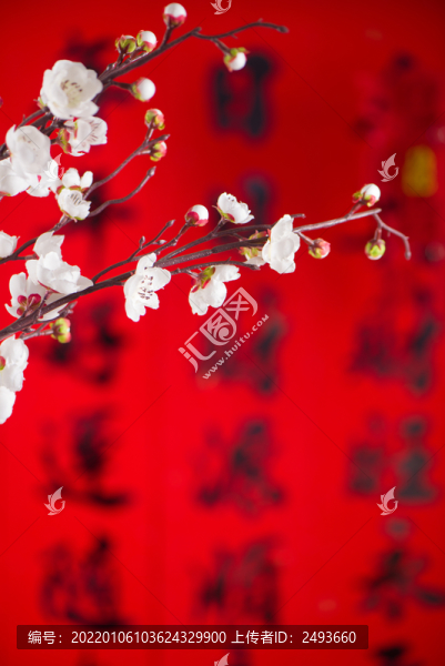 春節(jié)白色梅花裝飾背景