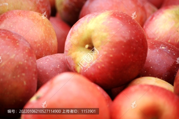 糖心蘋果