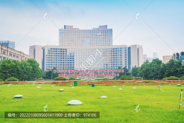青島城市建筑天際線和公園草坪