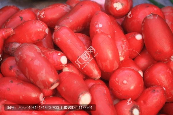 紅蘿卜