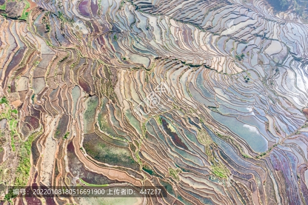 甲寅梯田