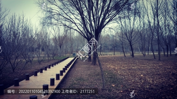 小路出發(fā)