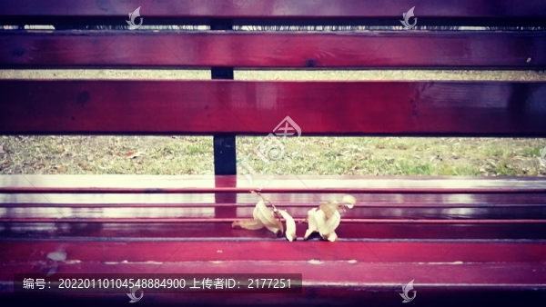 落葉