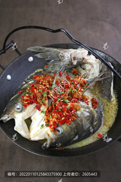 水庫(kù)雄魚(yú)