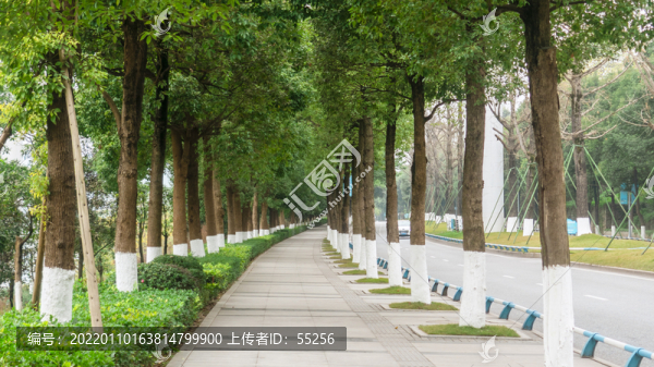 人行道