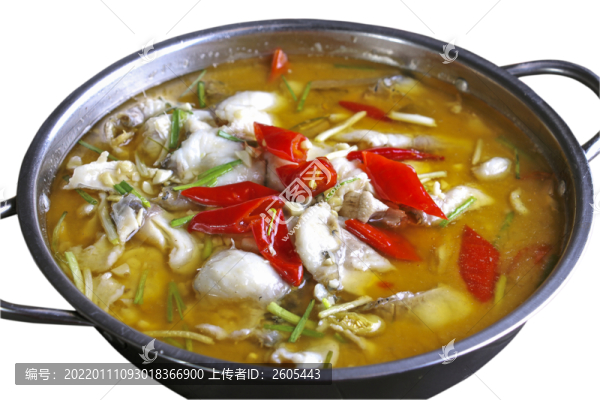 泡菜魚(yú)