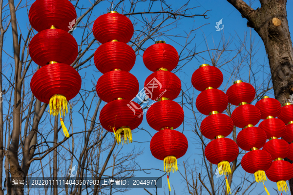 新年