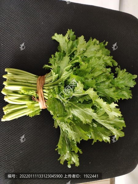 香菜
