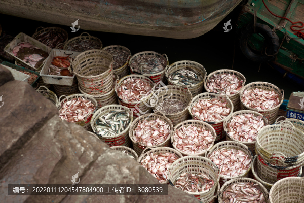 魚(yú)船上魚(yú)