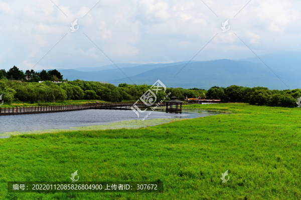 黑瞎子島濕地
