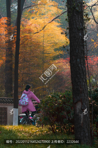 秋天的公園景色