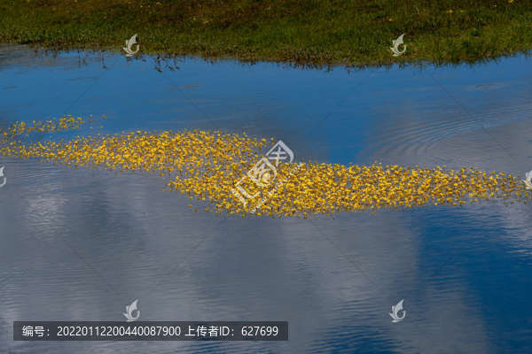 石渠風(fēng)光