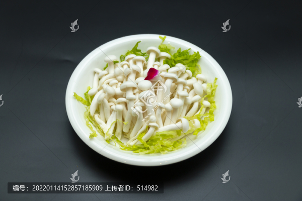 白玉菇