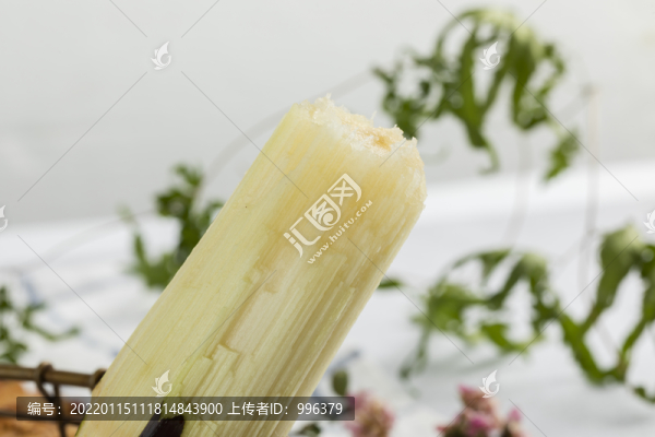 甘蔗
