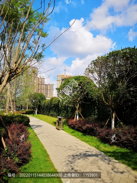 公園小路