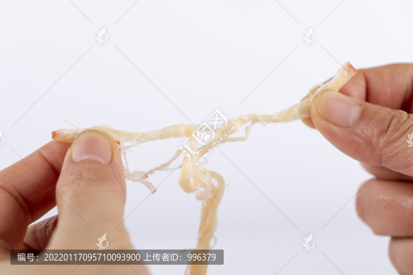 魷魚絲