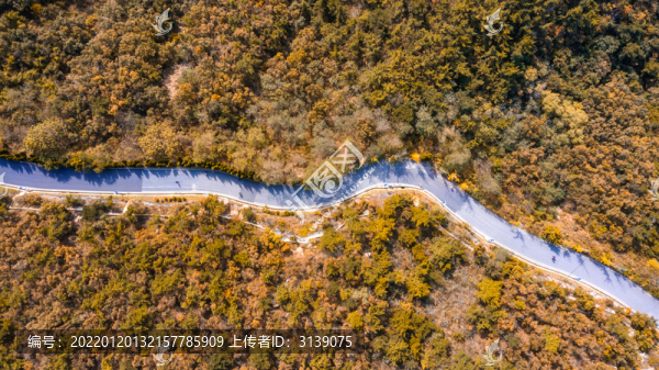 山間公路