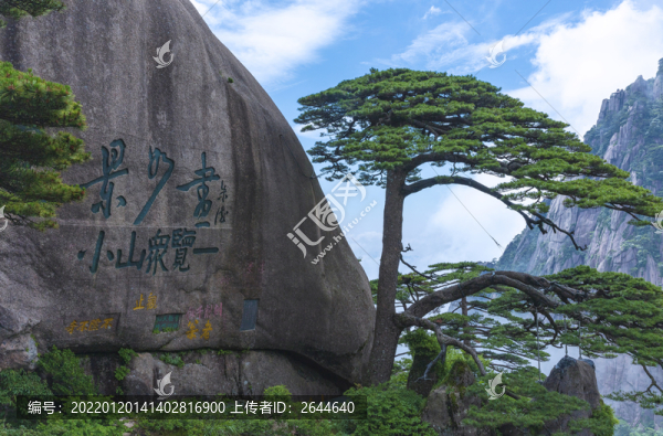 黃山迎客松