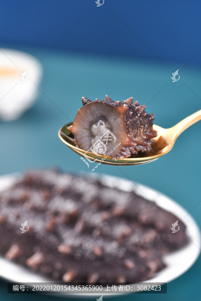 即食海參產(chǎn)品拍攝