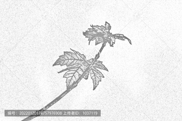 素描