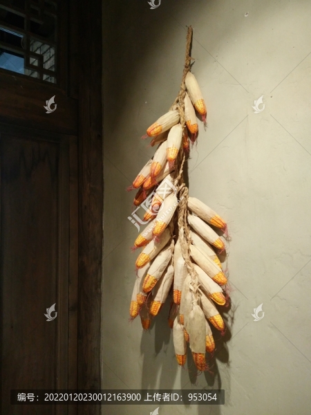 玉米