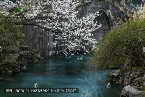 杭州太子灣公園春色